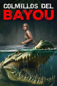 Infierno en el pantano (2025) HD 720p Latino